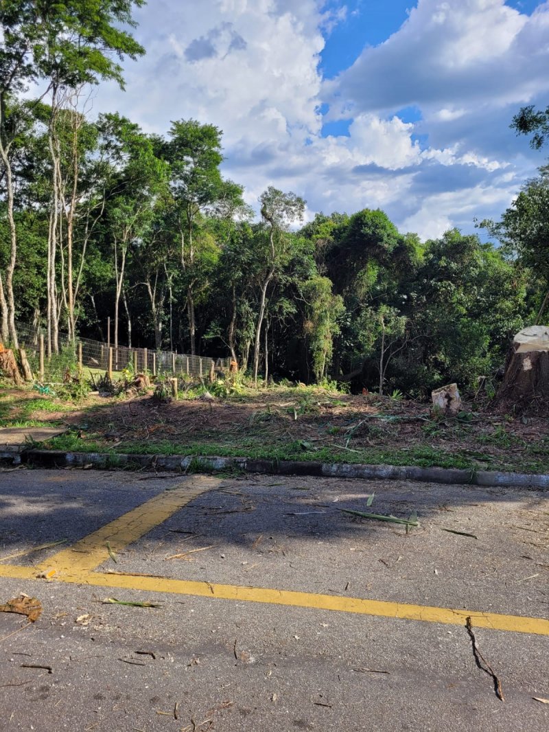 TERRENO TODO ARBORIZADO